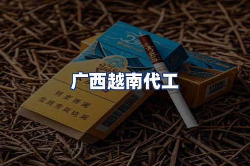 广西越南代工
